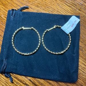 NWT Gold Coin Hoop Earrings.